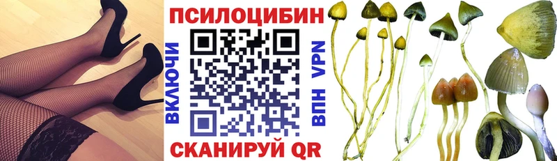 Псилоцибиновые грибы MAGIC MUSHROOMS  Баксан 